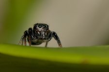 DSC_5460.jpg