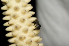 DSC_5501.jpg