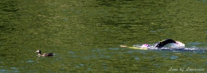 The Duck Leads LOL.jpg