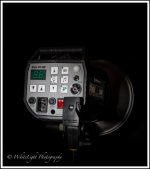 DSC_9409_WLP.jpg