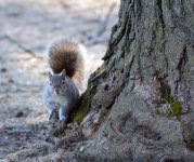 DSC_2560.jpg