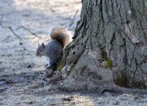 DSC_2557.jpg