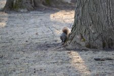 DSC_2558.jpg
