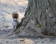 DSC_2561.jpg