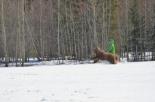 NIK_7099.jpg