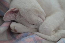 DSC_7190.jpg
