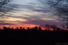 DSC_8384.jpg