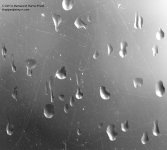 097 Raindrops-140407_01.jpg