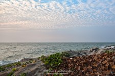 beach-sunset-1.jpg
