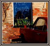 Urban Flower Store with Old Car.jpg
