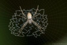 SHM_3278.jpg