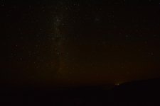 DSC_8333.jpg