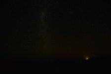 DSC_8336.jpg