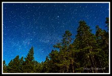 Day168StarTrail.jpg