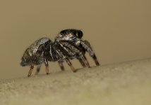 DSC_5563.jpg