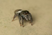DSC_5556.jpg