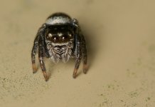 DSC_5553.jpg