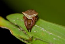 DSC_5614.jpg