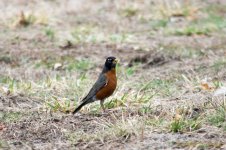 DSC_8424.jpg