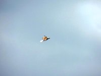 DSCN9357.jpg