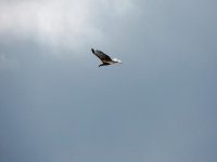DSCN9359.jpg