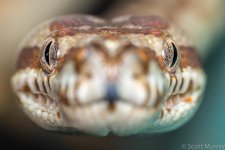D60_2134-2.jpg