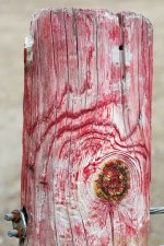 DSC_8454.jpg
