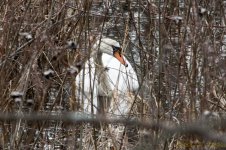 DSC_8469.jpg