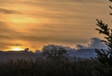DSC_1252 (1000x681).jpg