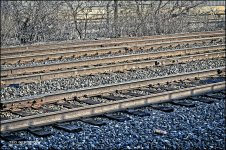 Can Near theTracks sm.jpg