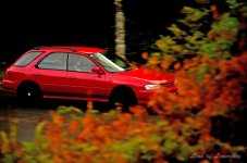 Panning 1 LOL.jpg
