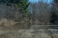 DSC_8477.jpg