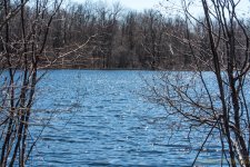 DSC_8478.jpg