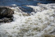 DSC_8496.jpg