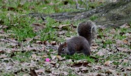 DSC_4226.JPG