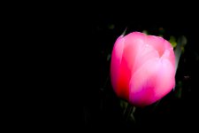 _DSC2449.jpg