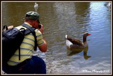 Moab Man shooting geese.jpg