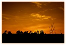 DSC_1353.jpg