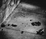 DSC_0015bw.jpg