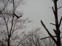 DSCN9521.jpg