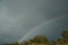 DSC_4273.JPG