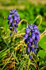 Day101-1.jpg
