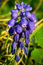 Day101-4.jpg