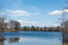 DSC_8529.jpg