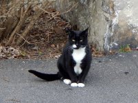 DSCN1570.jpg