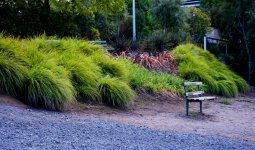 Park bench.jpg