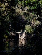 Jetty in limbo.jpg