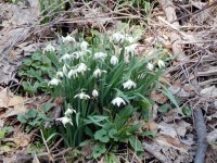 DSCN1568.jpg