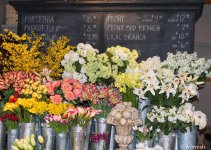Flowers1.jpg