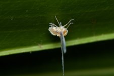 DSC_5595.jpg
